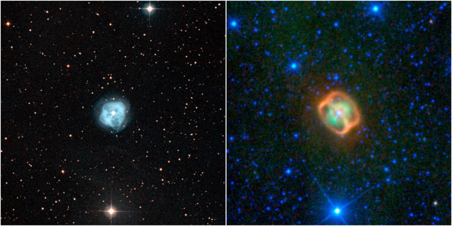 Photo of Dying Stars Looks Like Cosmic Jellyfish With Rings